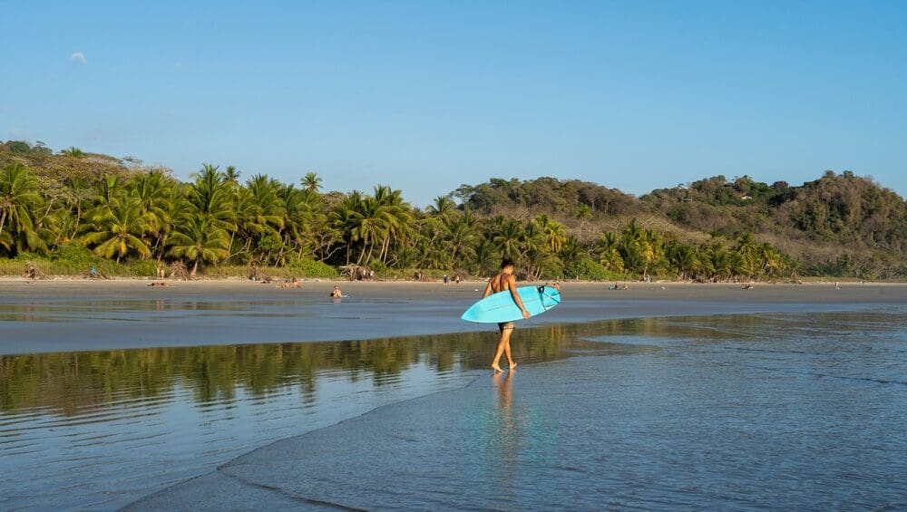 Surf Lesson