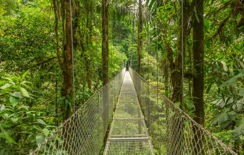 Arenal Volcano & Suspension Bridges